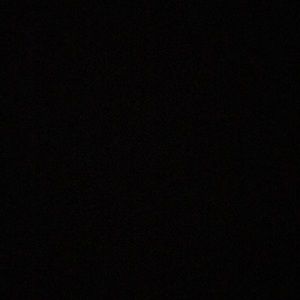 Meet your Posher, Reese